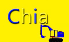 為何說硬盤空間就是Chia的計算力-服務(wù)器配置
